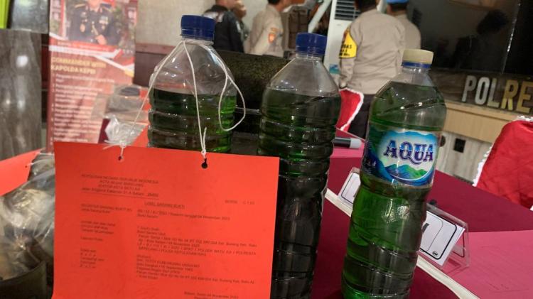 Alphard Mewah Plat Sumut, Ikut Diamankan dari Kasus Pembunuhan Mantan Dirut RSUD Padang di Batam 