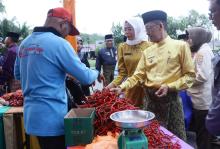 Awal Bulan November Harga Cabai Mulai Merogoh Saku Warga di TanjungpinangÂ 