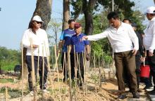 Tanam 1.800 Pohon Jati Mas, Kepala BP Batam: Terus Melaju Wujudkan Batam Baru yang Hijau dan Lestari