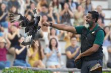 Taman Burung Singapura Terbesar di Asia dengan Pengalaman Interaktif Unik!