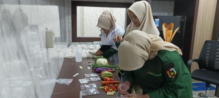 Cegah Kanker, 15 Komoditas Pangan di Pekanbaru Diuji Residu Ada Terong hingga Kemangi