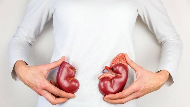 Ketahui Deretan Makanan yang Baik Dikonsumsi untuk Kesehatan Ginjal