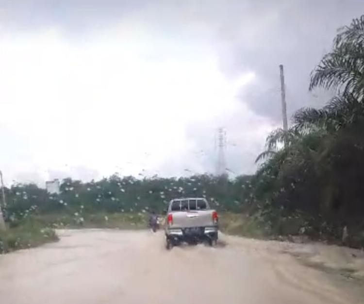 Banjir Rendam Rumah Warga di Kuansing, Ketinggian Capai 1 Meter