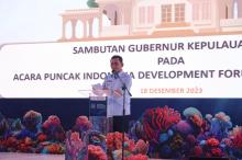 PTDI Dorong Pengembangan Ekonomi Biru dengan Pesawat N219 dan N219 Amphibious