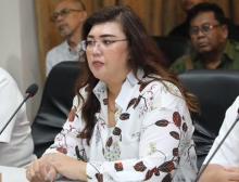 Realisasi PMA Triwulan III 2023, Lima Sektor Industri Dominasi Investasi di Batam
