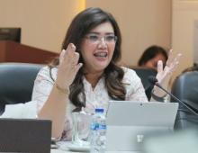 Progres Pengembangan Rempang Eco-City