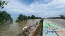 Bangkai Dugong Kembali Terdampar di Coastal Area Karimun, Bau Busuk Ganggu Warga