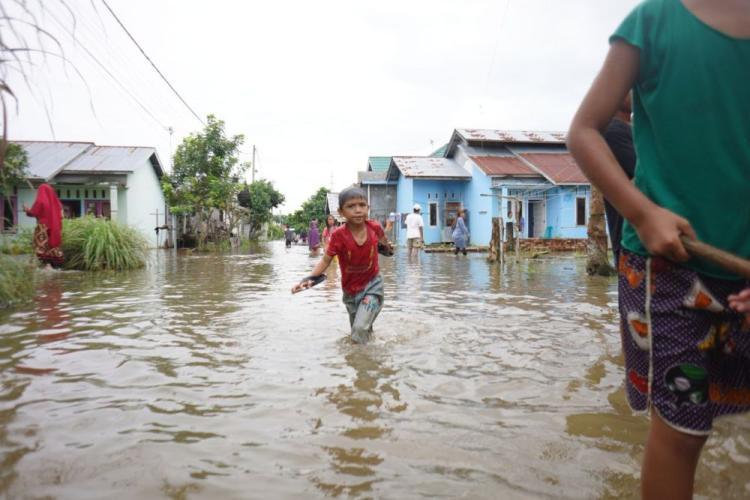 Banjir Melanda Riau: Ribuan Rumah Terendam, BPBD Minta Bantuan Pusat