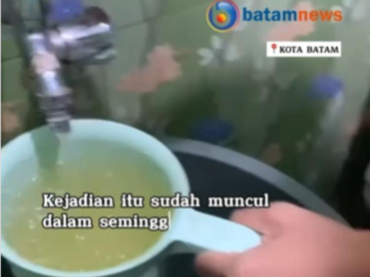 Heboh! Air Minum di Batam Tercemar Cacing dan Jentik Nyamuk 