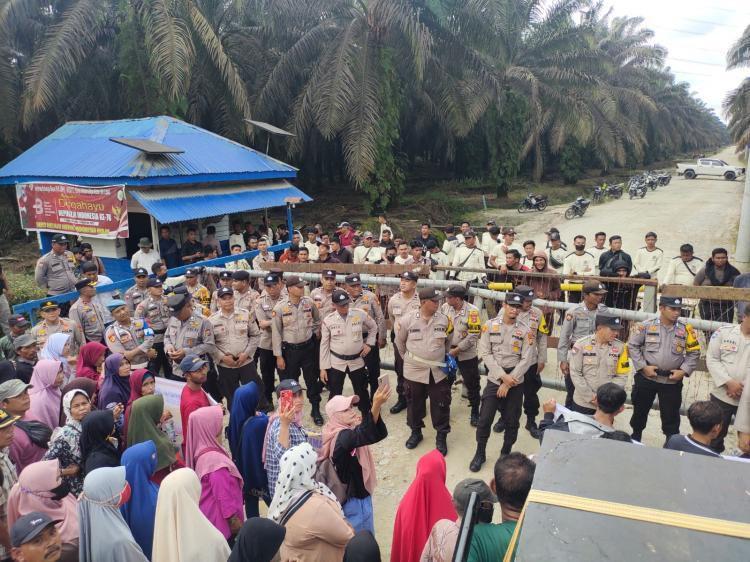 Pemprov Riau Turunkan Satgas Internal Terpadu untuk Penyelidikan PT Surya Intisari Raya