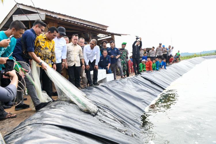 Gubernur Kepri Ansar Ahmad Kunjungi Lingga, Apresiasi Budidaya Udang Vaname di Desa Tinjul
