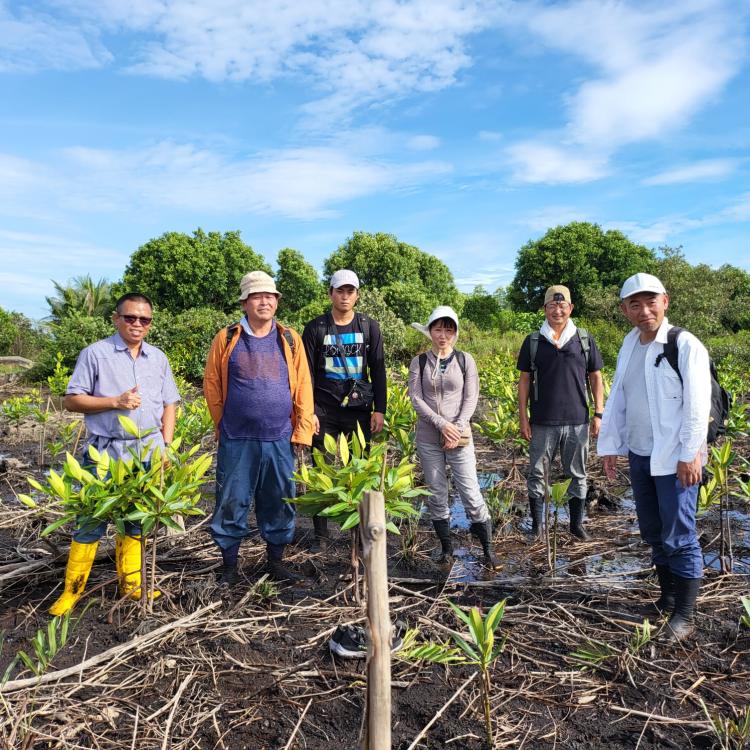 Jaga Keseimbangan Lingkungan, PWI Kepri dan Pecinta Mangrove Jepang Tanam Bakau di Bintan