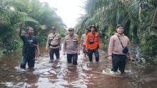 Banjir Bengkalis: Desa Petani Terendam, Debit Air Capai Paha Orang Dewasa