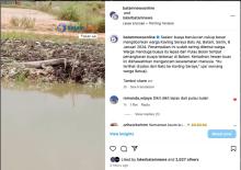 Penampakan Buaya Besar Berkeliaran di Batu Aji, Batam, Warga Khawatir