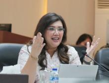 Tingkatkan Peluang Bisnis dan Investasi, Penerbangan Batam-China Dibuka 20 Januari