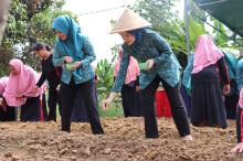 PKK Bintan Dorong Pemanfaatan Pekarangan Melalui Program "AKU HATINYA PKK"