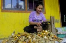 Harga Pinang Terbaru per Kilogram Pekan Ini, Cek Disini! 