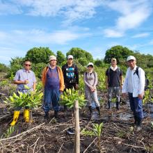 Jaga Keseimbangan Lingkungan, PWI Kepri dan Pecinta Mangrove Jepang Tanam Bakau di Bintan