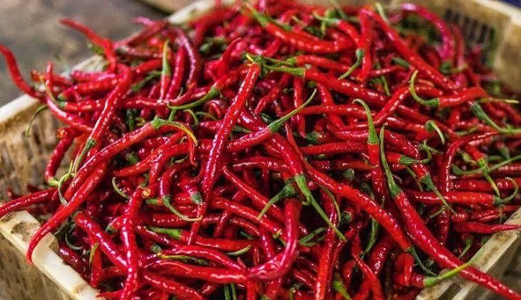 Disperindag Pekanbaru Upayakan Stabilisasi Harga Cabai dan Ayam Potong Jelang Ramadan