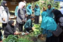 Panen Sayuran Dasa Wisma Nila Sebong Pereh, PKK Galakkan Program 