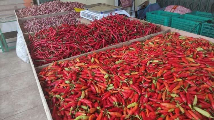 Harga Terus Naik, Pemko Tanjungpinang Datangkan Cabai Asal Sulawesi Utara 