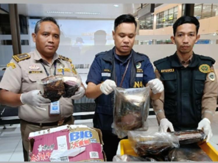Karantina Kepri Temukan 24 Kg Daging Babi Olahan Tanpa Sertifikat Kesehatan di Bandara
