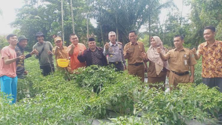 Pj Gubernur Riau Instruksikan Panen Raya Cabai untuk Penuhi Kebutuhan Lokal