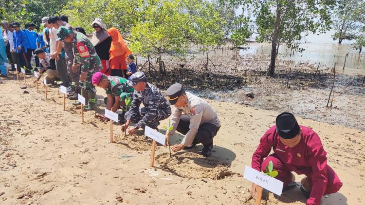 Prakiraan Cuaca Tanjungpinang Jumat 8 Maret 2024 Besok Hujan Ringan Siang Hari