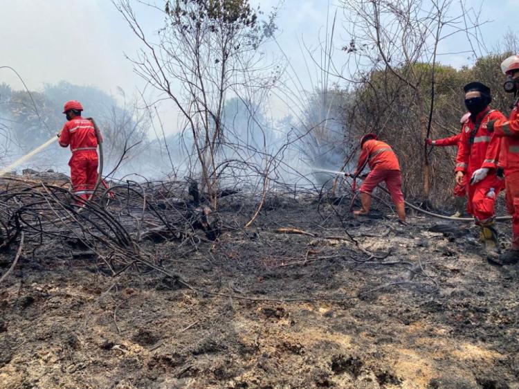 BPBD Riau Siapkan Status Siaga Darurat Karhutla Tingkat Provinsi