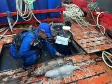 Polri Tangkap Kapal Ikan Asing Berbendera Malaysia di Perairan Selat Malaka, Kepri