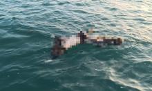 Sesosok Mayat Pria Ditemukan Mengapung di Perairan Takong Hiu Karimun