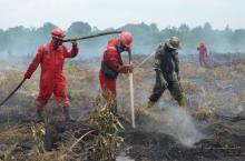 Tiga Daerah di Riau Siaga Karhutla, Dumai dalam Tahap Pendinginan