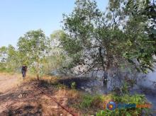 Kebakaran Lahan di Tiban Ciptaland Batam, Kapolsek Sekupang Sebut Cuaca Panas Jadi Pemicu