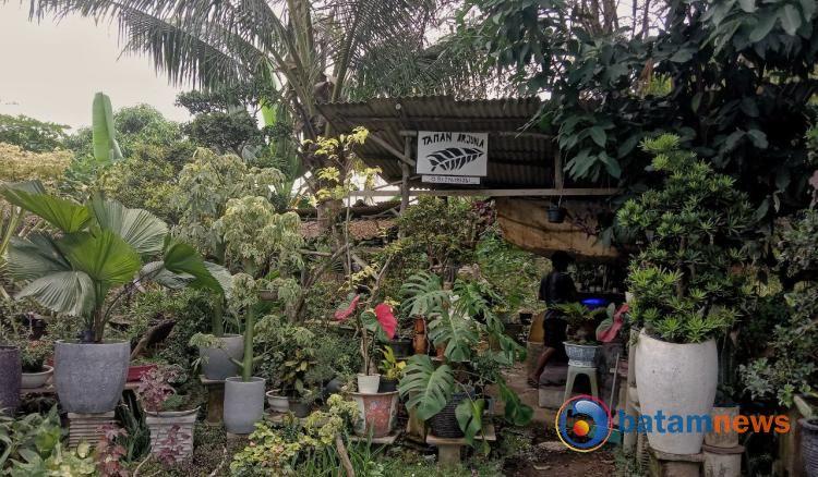 Menyambut Lebaran dengan Kehijauan: Jangan Lupakan Tanaman di Halaman Rumah
