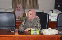 Sri Rezeki Maju di Pilkada Karimun: Sentuhan Perempuan ini Agak Beda!