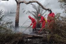 Pj Gubernur Riau Harap Idulfitri Bebas dari Kabut Asap Karhutla