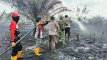 Krisis Karhutla Riau 2024: 126 Titik Api Terdeteksi, Cek Lokasinya!