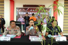 Pria Ditangkap Menanam Pohon Ganja di Bintan - Polisi Ungkap Detail Peristiwa Terbaru!