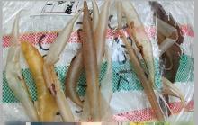 Berasal dari Kepri Gelembung Ikan ini Bernilai Ratusan Juta, Kolagen Kaya yang Banyak Diburu 