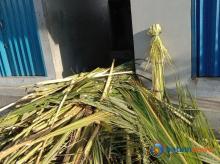Agus, Penjual Daun Ketupat di Bengkong Batam yang Raup Omzet Fantastis