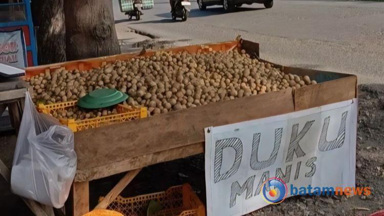 Cerita dari Pinggir Jalan: Yuda dan Lapak Duku Palembang di Tengah Hiruk Pikuk Kota Batam
