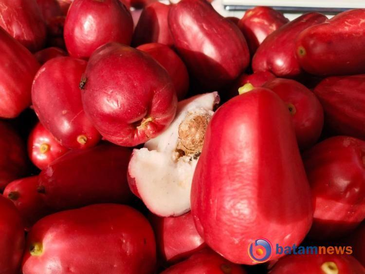 Jambu Jamaika, Buah Eksotis dengan Segudang Manfaat Kesehatan