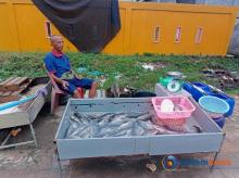 Penjual Ikan Mujair di Tanjungbuntung Batam Ini Mampu Raup Omzet hingga Rp500 Ribu Per Hari
