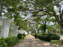 Alun-Alun Engku Putri Batam, Oasis Kehijauan di Tengah Kota
