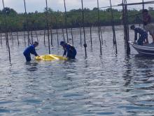 Jasad Pria Loncat dari Jembatan Barelang Ditemukan Mengambang di Pulau Pecong