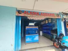 Tren Memelihara Ikan Hias Menggeliat, Pak Wens Sukses Berkat `Aladin Aquatic` di Bengkong