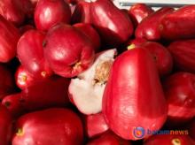Jambu Jamaika, Buah Eksotis dengan Segudang Manfaat Kesehatan