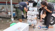 Kehadiran Penjual Ikan Hias di Pasar Tiban Center Sukses Tarik Perhatian Warga