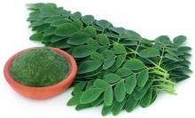 Manfaat Daun Kelor untuk Vitalitas Pria, Tingkatkan Kesuburan hingga Kesehatan Prostat