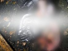 Warga Geger, Bayi Ditemukan Terbungkus dalam Kantong Plastik di Selokan Jalan Pramuka